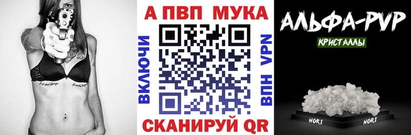 Альфа ПВП СК Сокол