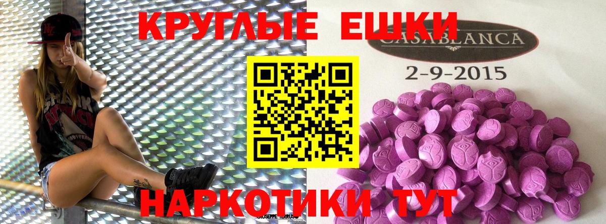 Ecstasy Punisher Сокол