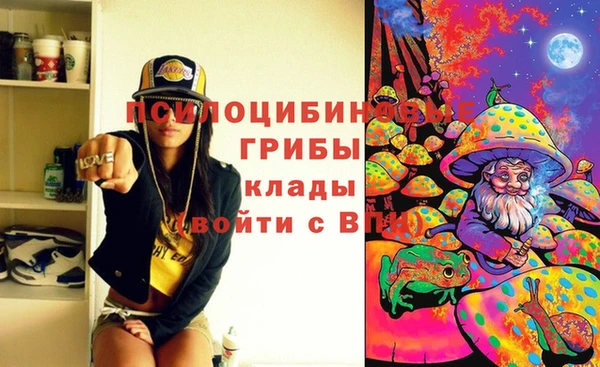 скорость Медвежьегорск