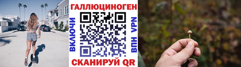 Псилоцибиновые грибы Psilocybine cubensis  Сокол 