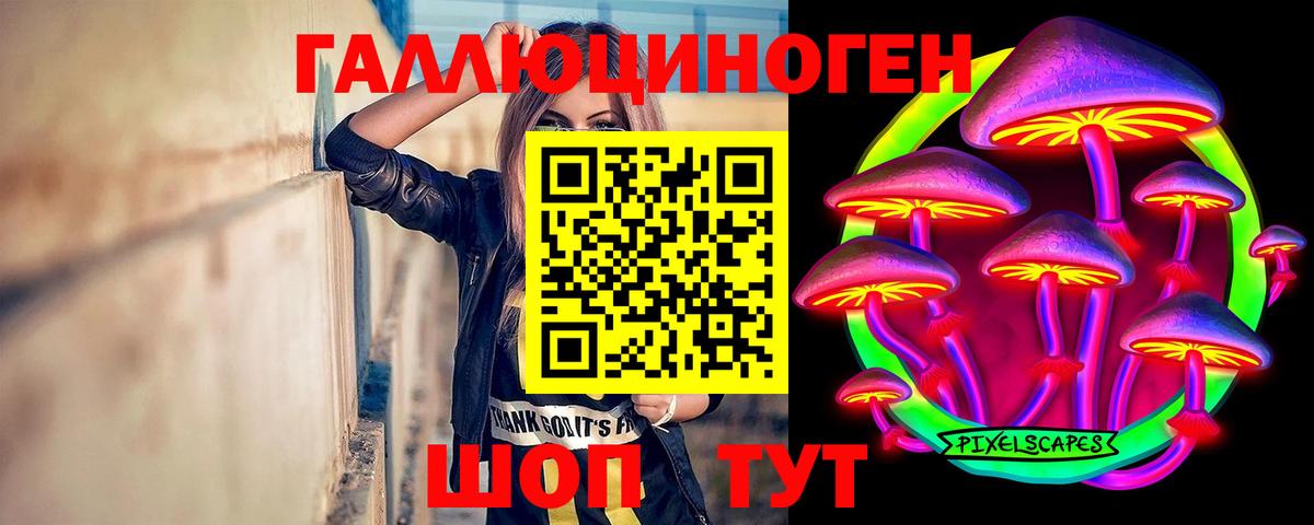 Сокол  Галлюциногенные грибы Psilocybine cubensis  Вход с VPN 