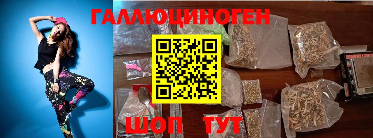 Псилоцибиновые грибы мицелий Сокол