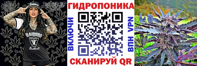 Марихуана семена  Сокол 