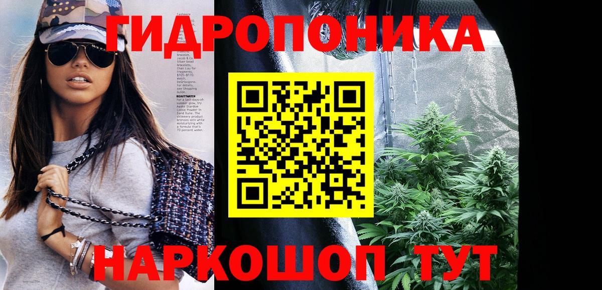 Канабис марихуана Сокол